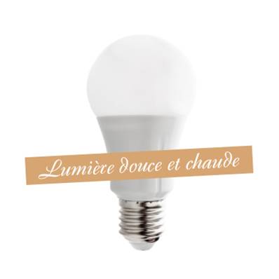 Ampoule SMD LED 10W>80W Lumière douce et chaude