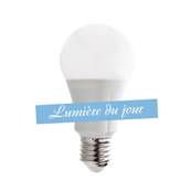 Ampoule SMD LED 10W>80W Lumière du jour